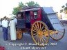Calgary Stampede 2002