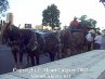 Calgary Stampede 2002