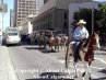 Calgary Stampede Downtown