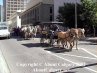 Calgary Stampede Downtown