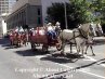 Calgary Stampede Downtown