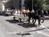 Calgary Stampede Downtown