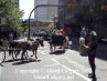 Calgary Stampede Downtown