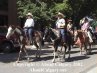 Calgary Stampede 2002