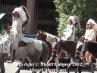 Calgary Stampede 2002