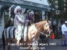 Calgary Stampede 2002