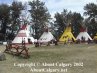 Calgary Stampede 2002