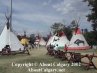 Calgary Stampede 2002