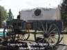 Calgary Stampede 2002