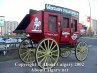 Calgary Stampede 2002
