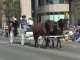 Calgary Stampede 2003
