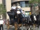 Calgary Stampede 2003