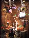 Window Display