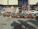 Calgary Remembrance Day